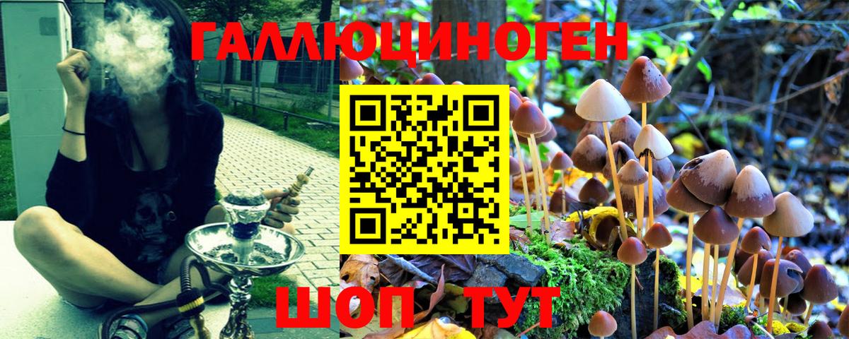 Галлюциногенные грибы Cubensis Нерюнгри