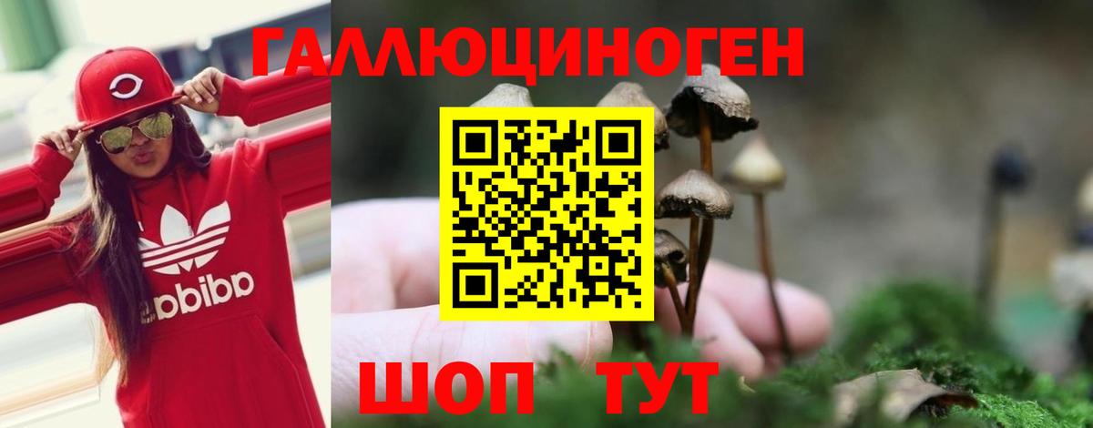Нерюнгри  закладки  Вход с VPN  Галлюциногенные грибы мицелий 